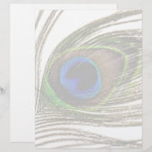 Peacock Feather (Front/Back)