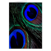 Peacock feather (Front)