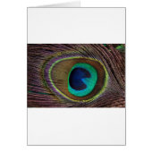 peacock feather (Front)