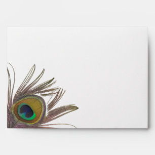 Peacock Feather A7 Envelope