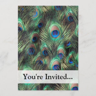 Peacock Feather Background Invitation