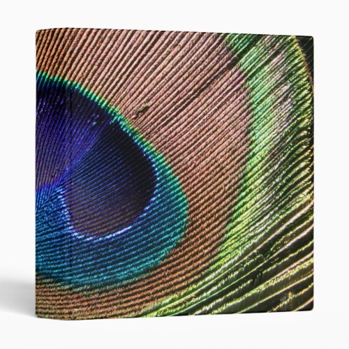 Peacock feather beautiful blue photo album binder