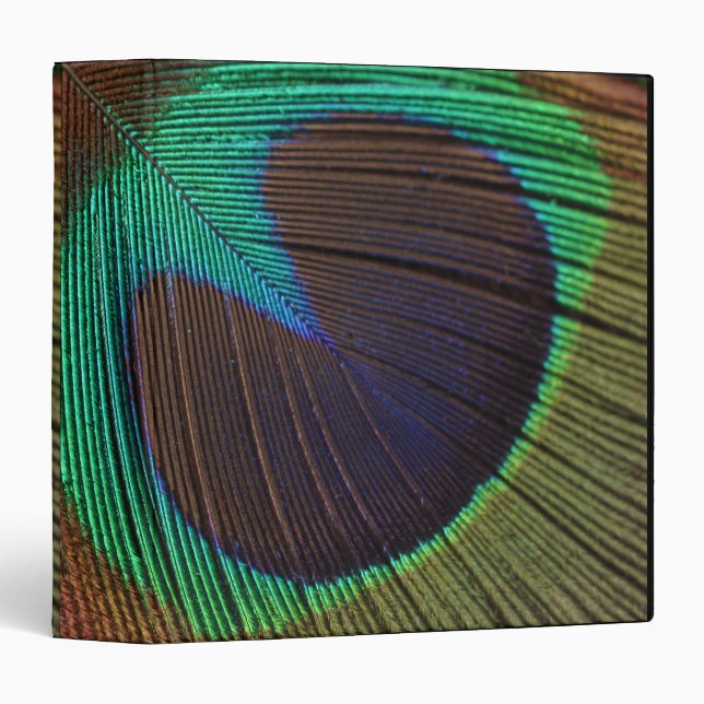 Peacock feather binder (Front/Spine)
