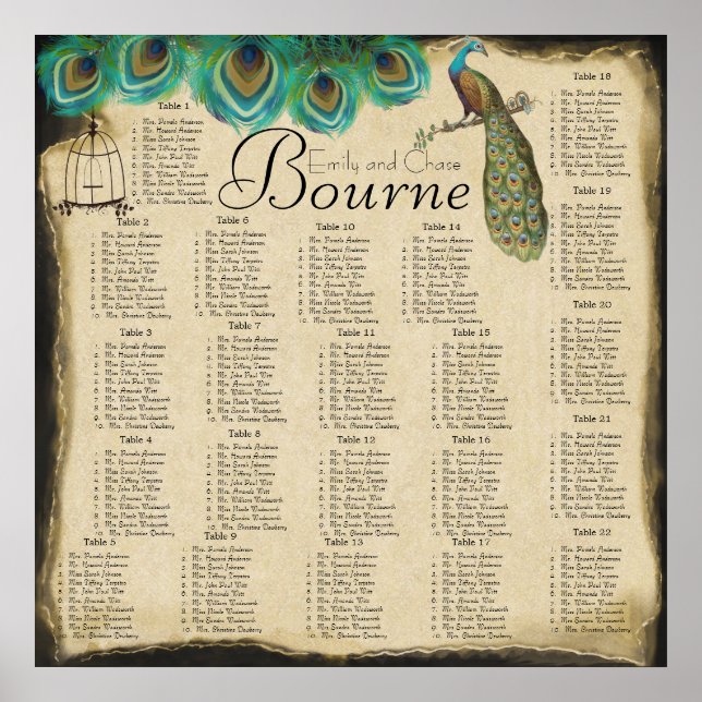 Peacock Feather Bird Cage Reception Seating Chart (Front)