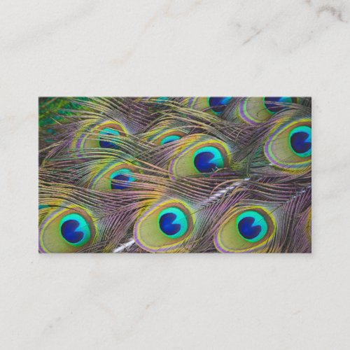 Peacock Feather Business Card