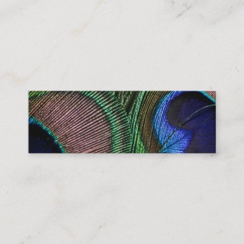 Peacock Feather Business Card