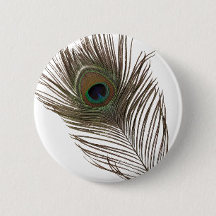 Peacock feather button