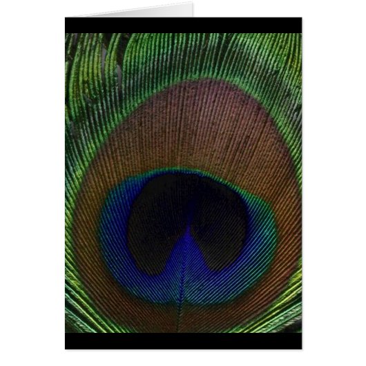 Peacock Feather Cards (Front)