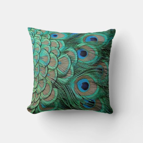 peacock feather cases pillow