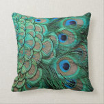 peacock feather cases pillow<br><div class="desc">peacock feather cases pillow</div>