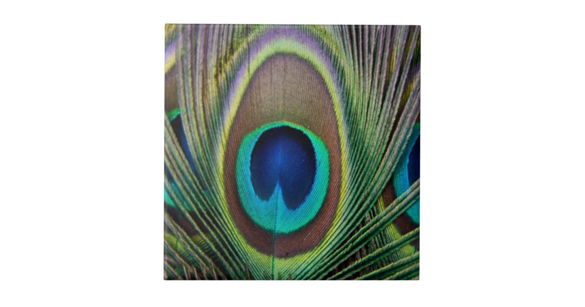 Peacock feather ceramic tile | Zazzle