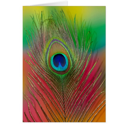 Peacock feather close-up cards (Front)