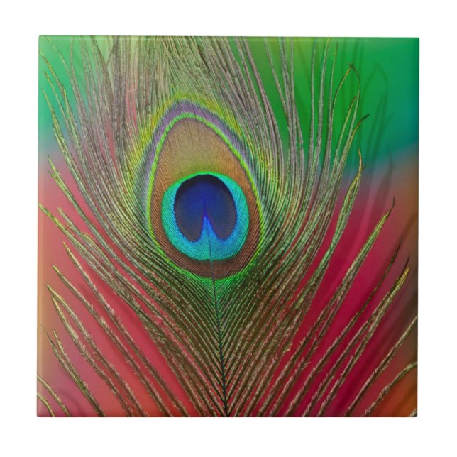 Peacock feather close-up ceramic tile (Front)