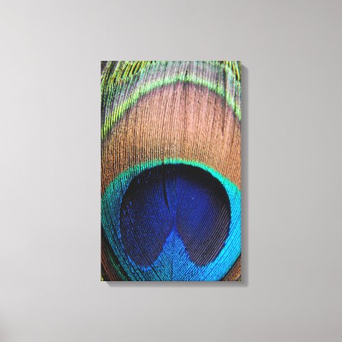 Peacock Feather Close_Up Detail Photo Canvas