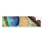 Peacock Feather Designs Bumper Sticker