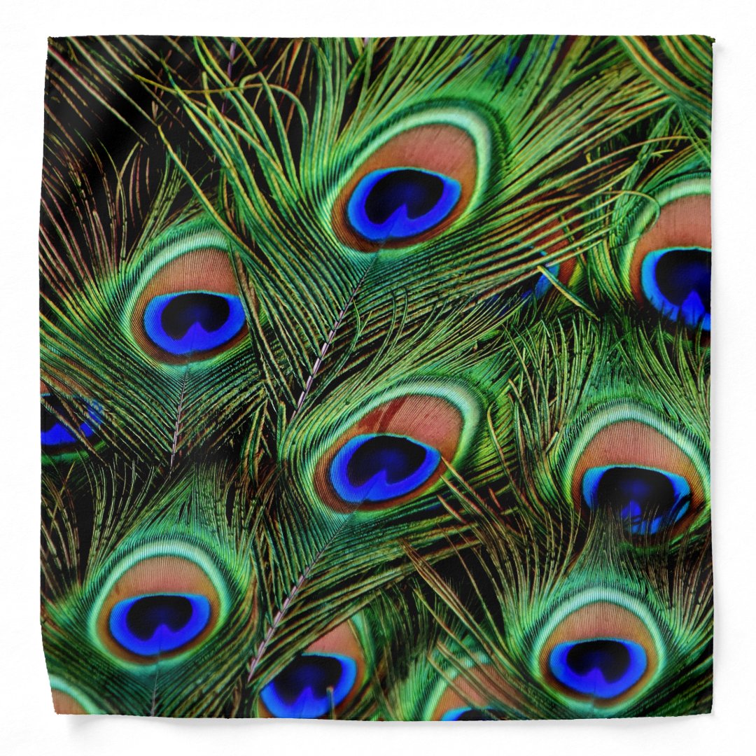 Peacock Feather Display Bandana 