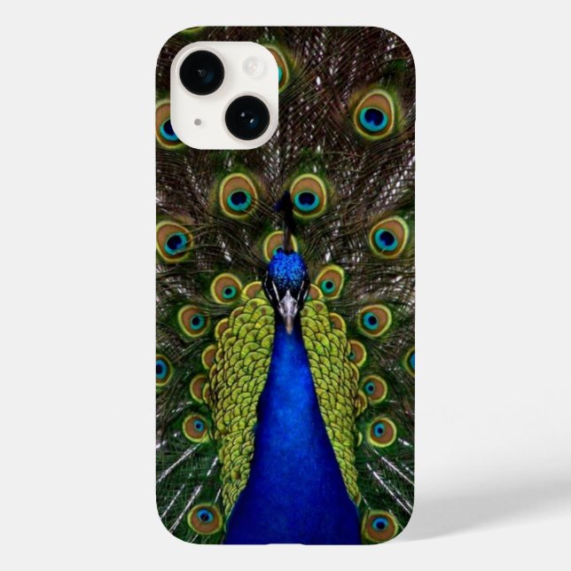 Peacock Feather Display  Case-Mate iPhone Case (Back)