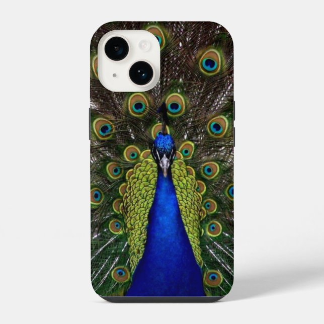 Peacock Feather Display  Iphone Case (Back)