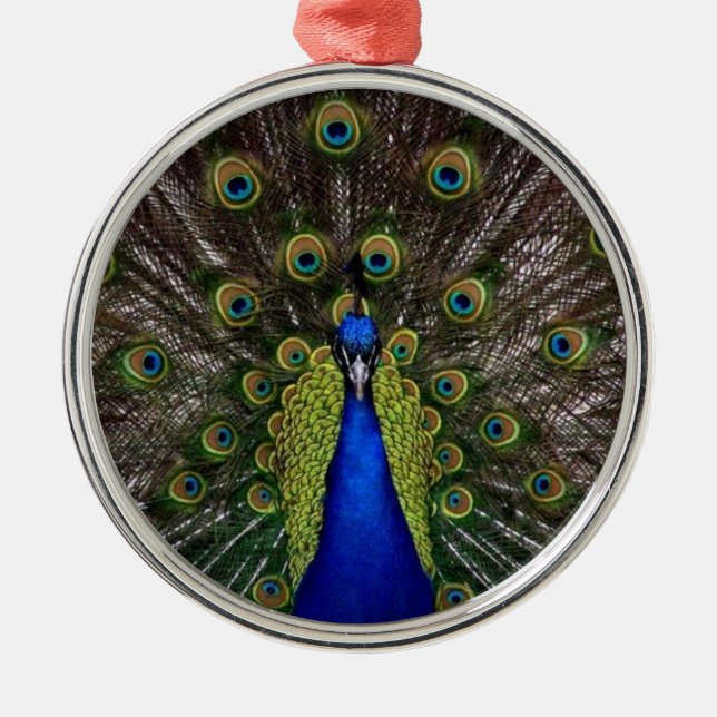 Peacock Feather Display Photo Metal Ornament (Front)