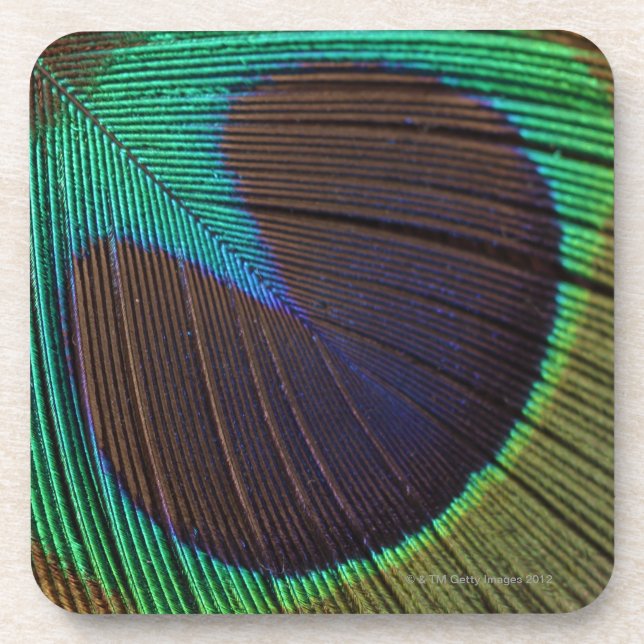 Peacock feather drink coaster (Front)