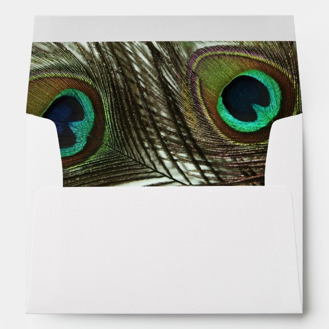Peacock Feather Envelopes (Back (Bottom))
