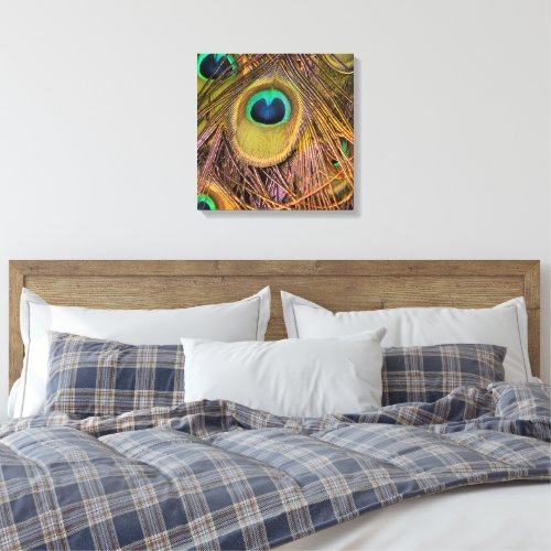 Peacock Feather Eyes Canvas Print