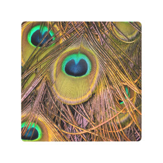Peacock Feather Eyes Metal Print
