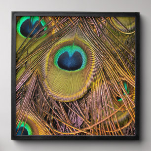 Peacock Feather Eyes Poster Peel And Stick Photo Tile