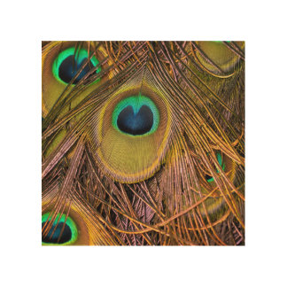Peacock Feather Eyes Wood Wall Art