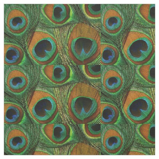Peacock Feather Fabric Brown Aqua Teal Blue Green