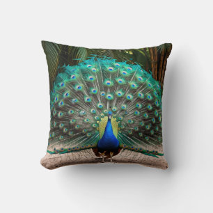 Peacock Feather Fanning Throw Pillow