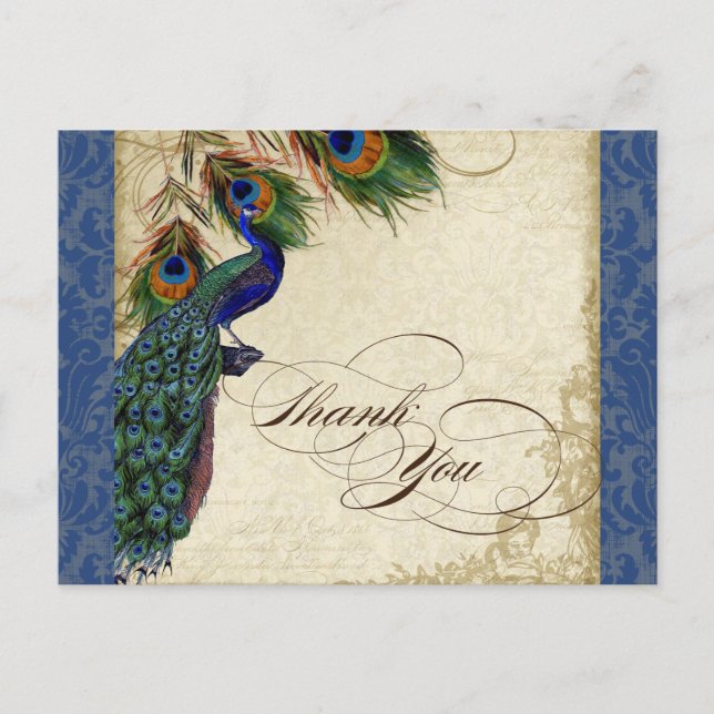 Peacock & Feather Formal Thank You Note Navy Blue Postcard (Front)