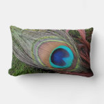 Peacock Feather/Green Moss Decor Lumbar Pillow