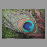 Peacock Feather/Green Moss Decor Placemat