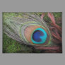Peacock Feather/Green Moss Decor Placemat