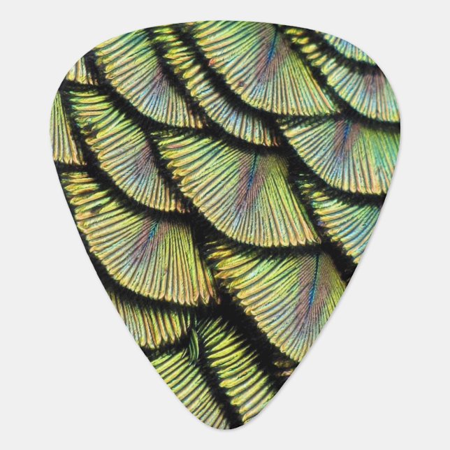 Peacock Feather Guitar Pick (Front)