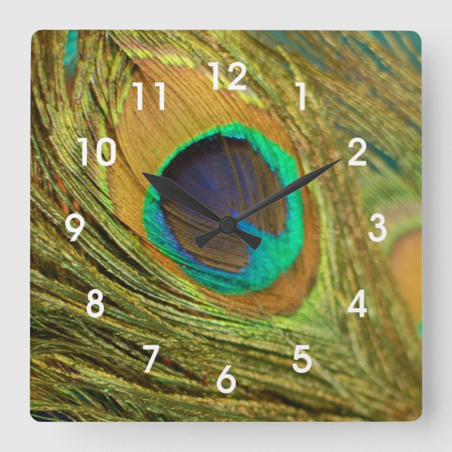 Peacock Feather Home Decor Wall Clock (Front)