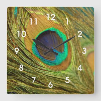 Peacock Feather Home Decor Wall Clock by CindyBeePhotography at Zazzle