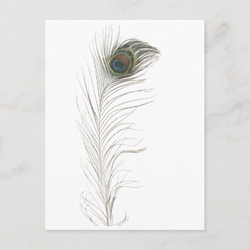Peacock Feather Invitation Postcard