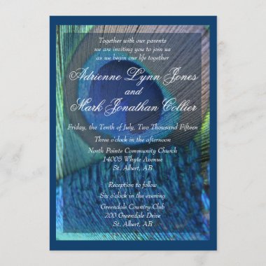Peacock Feather Invitation with border
