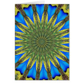 Peacock Feather Kaleidoscope 3 (Front)