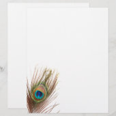 Peacock Feather Letterhead (Front/Back)