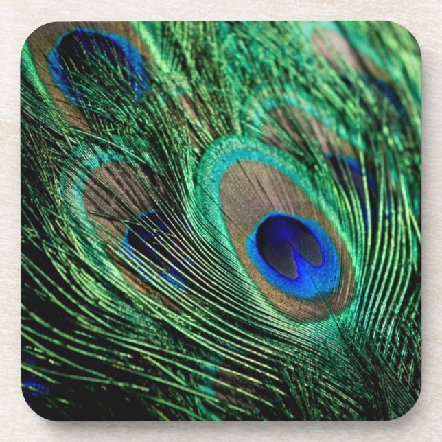 Peacock Feather Lucky Beverage Coaster (Front)