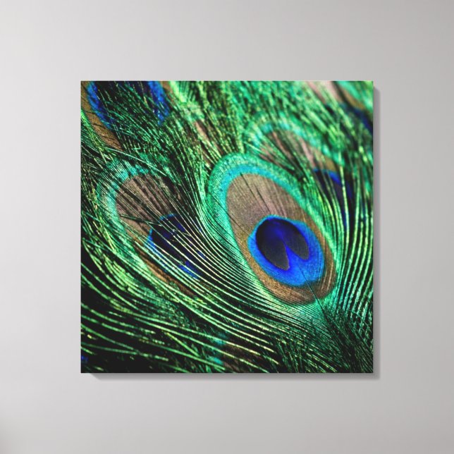 Peacock Feather Lucky Canvas Print (Front)