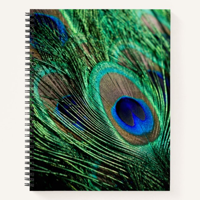 Peacock Feather Lucky Notebook (Front)