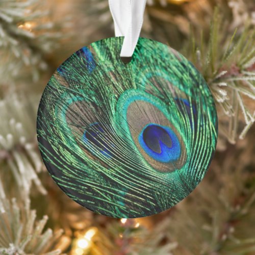 Peacock Feather Lucky Ornament