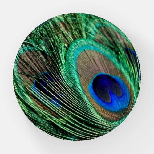 Peacock Feather Lucky Paperweight