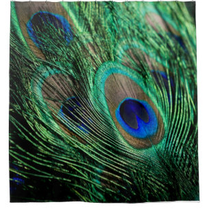 Peacock Feather Lucky Shower Curtain