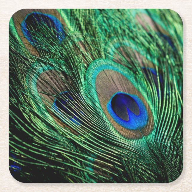 Peacock Feather Lucky Square Paper Coaster (Front)