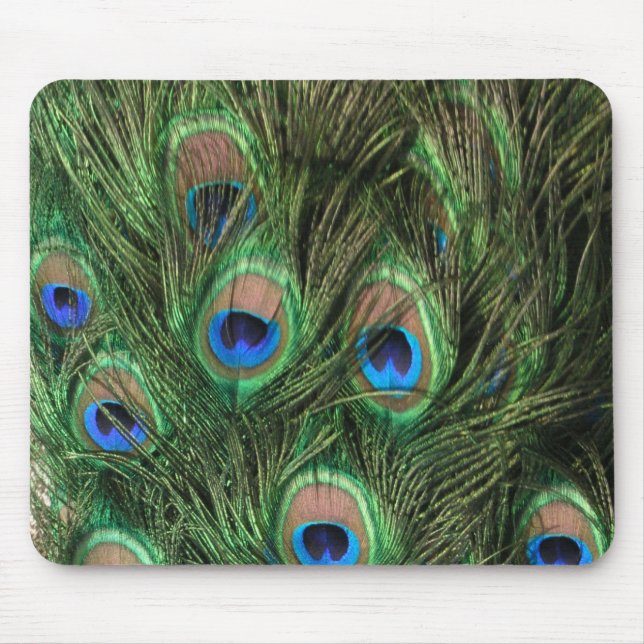 Peacock Feather Mouse Pad (Front)